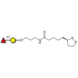 Blood group H antigen disaccharide with cyclic di-thiol (Linker-LIPO A)