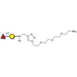 Blood group H antigen disaccharide with free terminal amine (Linker-NH2 B)