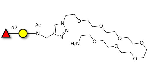 Blood group H antigen disaccharide with free terminal amine (Linker-NH2 C)