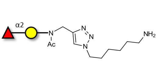 Blood group H antigen disaccharide with free terminal amine (Linker-NH2 D)