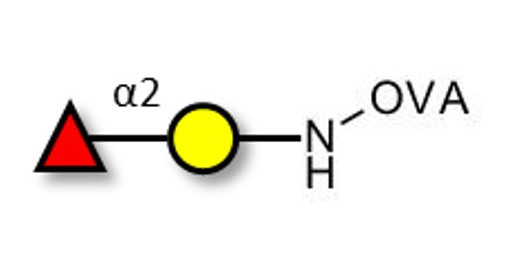 Blood group H antigen disaccharide grafted on OVA