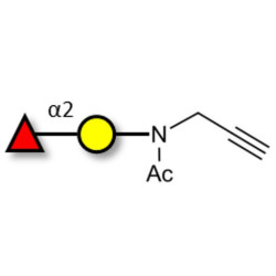 Blood group H antigen disaccharide with terminal alkyne (Linker-CΞCH A)