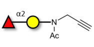 Blood group H antigen...