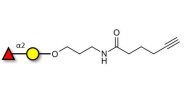 Blood group H antigen...