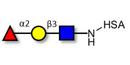 Blood group H antigen triose type 1 grafted on HSA