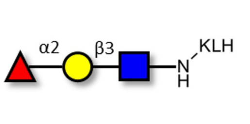 Blood group H antigen triose type 1 grafted on KLH