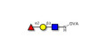 Blood group H antigen triose type 1 grafted on OVA