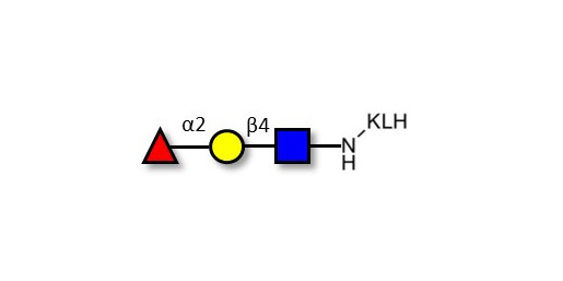 Blood group H antigen triose type 2 grafted on KLH