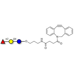 Blood group H antigen triose type 6 / 2’-Fucosyllactose (2'-FL) with DBCO (Linker-DBCO A)