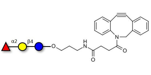 Blood group H antigen triose type 6 / 2’-Fucosyllactose (2'-FL) with DBCO (Linker-DBCO A)