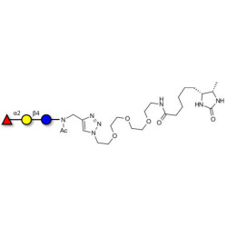 Blood group H antigen triose type 6 / 2’-Fucosyllactose (2'-FL) linked to desthiobiotin (Linker-DBT-A)