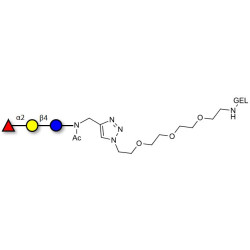 Blood group H antigen triose type 6 / 2’-Fucosyllactose (2'-FL) grafted on gel for affinity chromatography (Linker-GEL A)