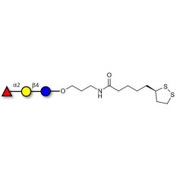 Blood group H antigen triose type 6 / 2’-Fucosyllactose (2'-FL) with cyclic di-thiol (Linker-LIPO A)