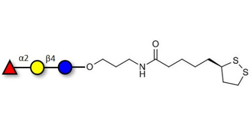 Blood group H antigen triose type 6 / 2’-Fucosyllactose (2'-FL) with cyclic di-thiol (Linker-LIPO A)