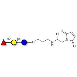 Blood group H antigen triose type 6 / 2’-Fucosyllactose (2'-FL) linked to maleimide (Linker-MAL A)