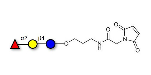 Blood group H antigen triose type 6 / 2’-Fucosyllactose (2'-FL) linked to maleimide (Linker-MAL A)