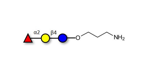 Blood group H antigen triose type 6 / 2’-Fucosyllactose (2'-FL) with free terminal amine (Linker-NH2 A)