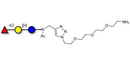 Blood group H antigen triose type 6 / 2’-Fucosyllactose (2'-FL) with free terminal amine (Linker-NH2 B) - GLY031-3-NAc-sp1-NH2