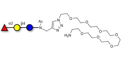 Blood group H antigen triose type 6 / 2’-Fucosyllactose (2'-FL) with free terminal amine (Linker-NH2 C)