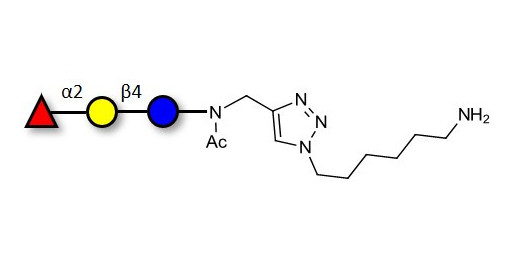 Blood group H antigen triose type 6 / 2’-Fucosyllactose (2'-FL) with free terminal amine (Linker-NH2 D)