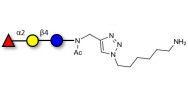 Blood group H antigen...