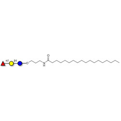 Blood group H antigen triose type 6 / 2’-Fucosyllactose (2'-FL) with stearic chain (Linker-STEA A)