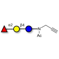 Blood group H antigen triose type 6 / 2’-Fucosyllactose (2'-FL) with terminal alkyne (Linker-CΞCH A)