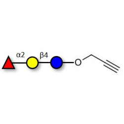 Blood group H antigen triose type 6 / 2’-Fucosyllactose (2'-FL) with terminal alkyne (Linker-CΞCH B)