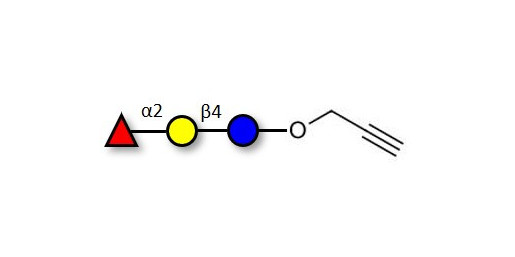 Blood group H antigen triose type 6 / 2’-Fucosyllactose (2'-FL) with terminal alkyne (Linker-CΞCH B)