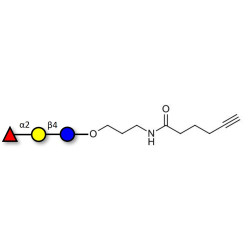 Blood group H antigen triose type 6 / 2’-Fucosyllactose (2'-FL) with terminal alkyne (Linker-CΞCH C)