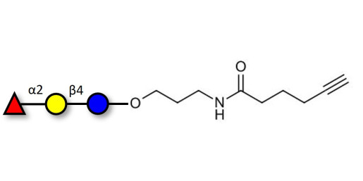 Blood group H antigen triose type 6 / 2’-Fucosyllactose (2'-FL) with terminal alkyne (Linker-CΞCH C)