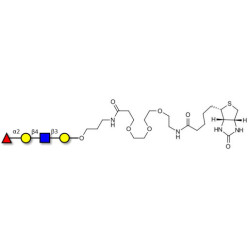 Blood group H antigen tetraose type 2 linked to biotin (Linker-BT C)