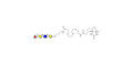 Blood group H antigen tetraose type 2 linked to biotin (Linker-BT C)