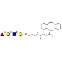 Blood group H antigen tetraose type 2 with DBCO (Linker-DBCO A)