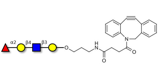 Blood group H antigen tetraose type 2 with DBCO (Linker-DBCO A)