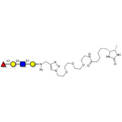Blood group H antigen tetraose type 2 linked to desthiobiotin (Linker-DBT-A)