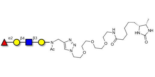 Blood group H antigen tetraose type 2 linked to desthiobiotin (Linker-DBT-A)