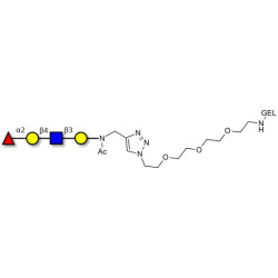 Blood group H antigen tetraose type 2 grafted on gel for affinity chromatography (Linker-GEL A)