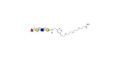 Blood group H antigen tetraose type 2 grafted on gel for affinity chromatography (Linker-GEL A)