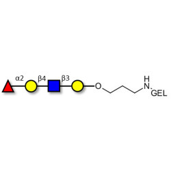 Blood group H antigen tetraose type 2 grafted on gel for affinity chromatography (Linker-GEL B)