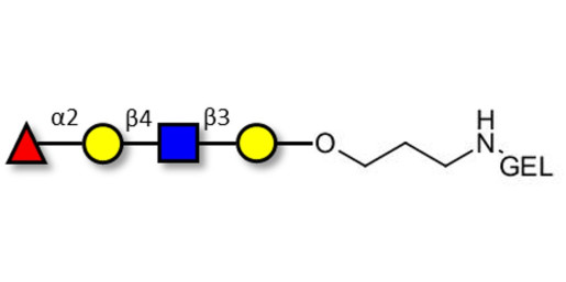Blood group H antigen tetraose type 2 grafted on gel for affinity chromatography (Linker-GEL B)