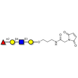 Blood group H antigen tetraose type 2 linked to maleimide (Linker-MAL A)