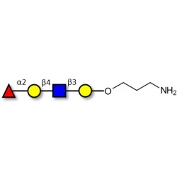 Blood group H antigen tetraose type 2 with free terminal amine (Linker-NH2 A)