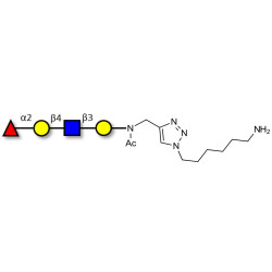 Blood group H antigen tetraose type 2 with free terminal amine (Linker-NH2 D)