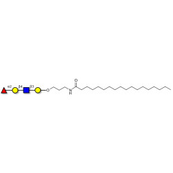Blood group H antigen tetraose type 2 with stearic chain (Linker-STEA A)