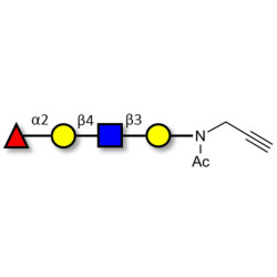 Blood group H antigen tetraose type 2 with terminal alkyne (Linker-CΞCH A)