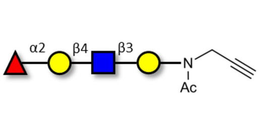 Blood group H antigen tetraose type 2 with terminal alkyne (Linker-CΞCH A) - GLY032-2-NPR