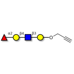 Blood group H antigen tetraose type 2 with terminal alkyne (Linker-CΞCH B)