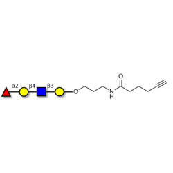 Blood group H antigen tetraose type 2 with terminal alkyne (Linker-CΞCH C)