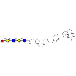 Lacto-N-fucopentaose I (LNFP I) / Blood group H antigen pentaose type 1 linked to biotin (Linker-BT A)